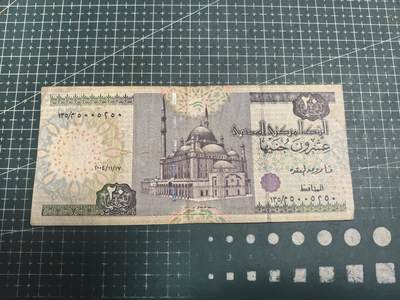 轻松集币无压力 - 埃及20镑