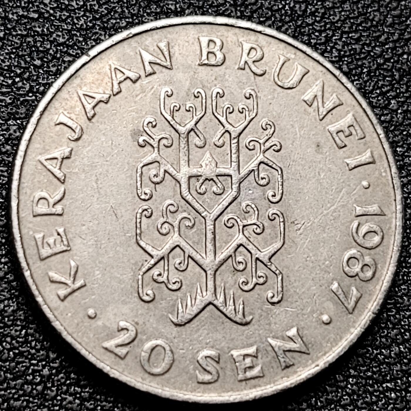 泉币菌-第177场- 精品福利场 。