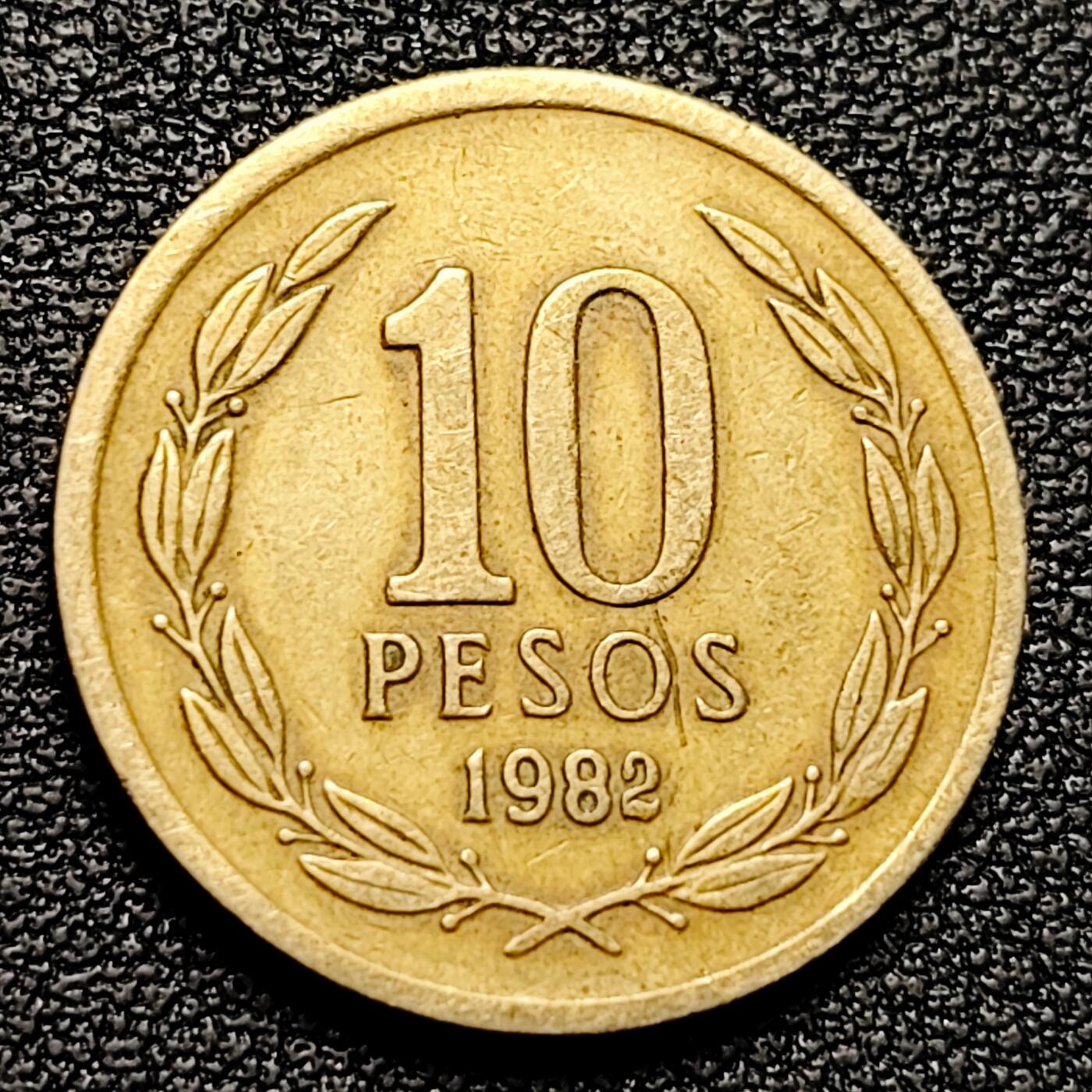 泉币菌-第177场- 精品福利场 。