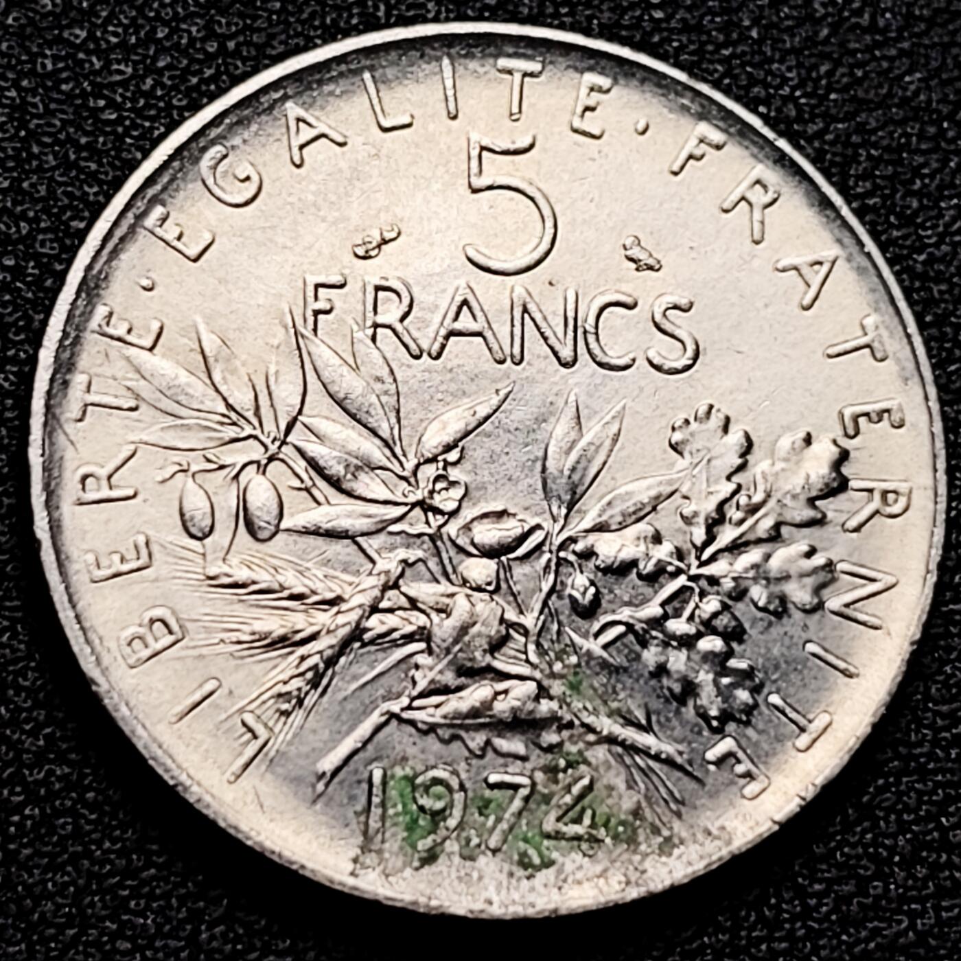 泉币菌-第177场- 精品福利场 。