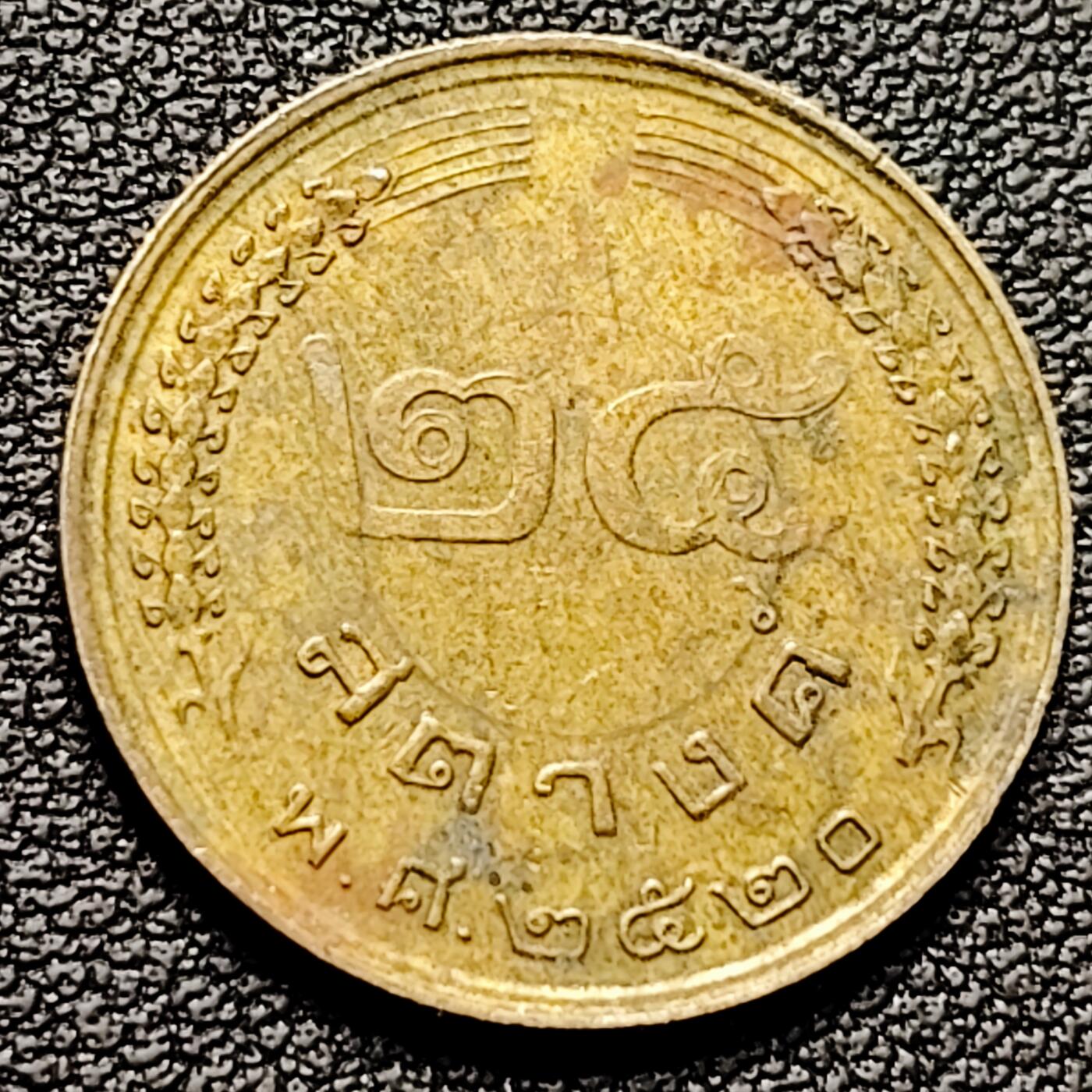 泉币菌-第176场- 精品福利场 。