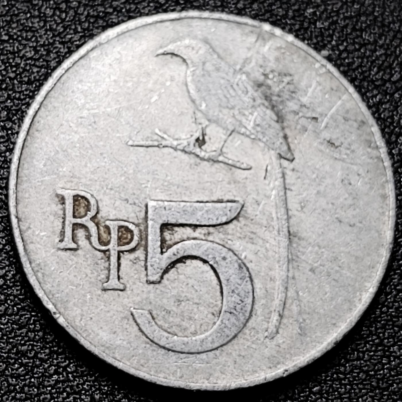 泉币菌-第177场- 精品福利场 。