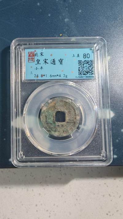 杂项场 - 皇宋通宝一枚