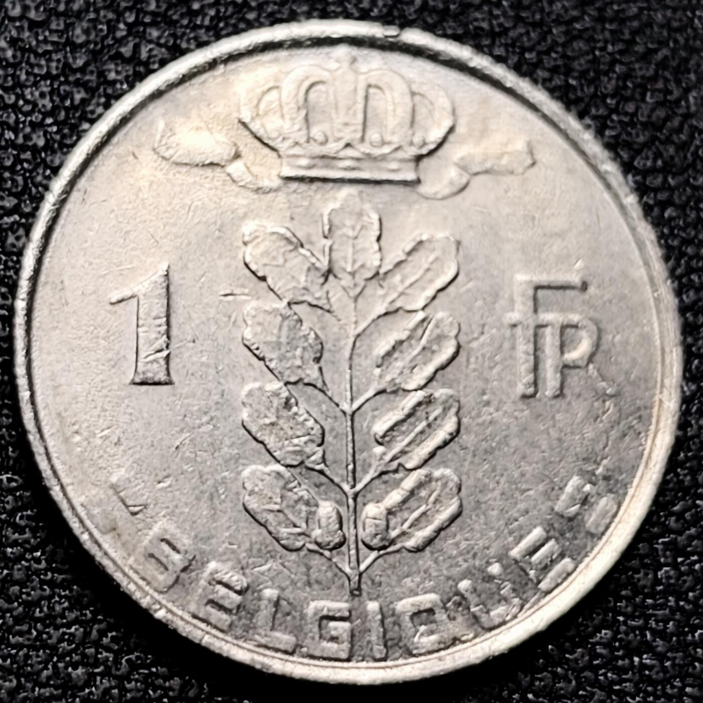 泉币菌-第177场- 精品福利场 。