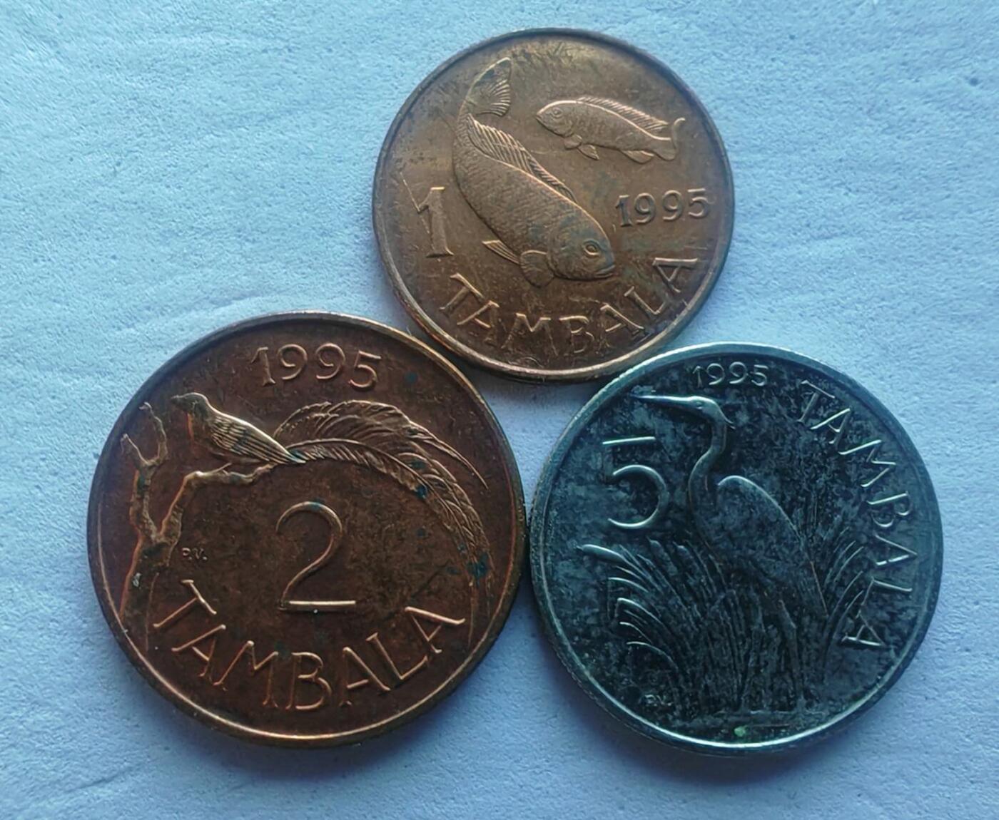 马拉维硬币1995年1/2/5坦巴拉3枚头像包