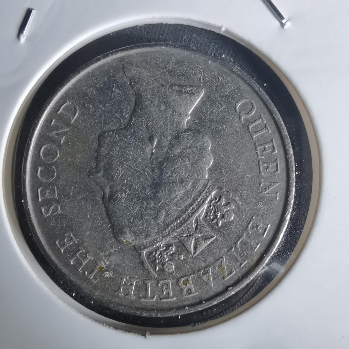 沼泽如烟--第977场