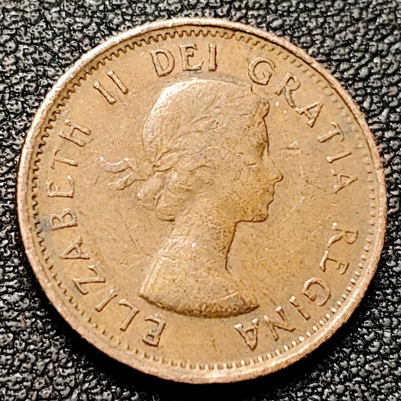 泉币菌-第177场- 精品福利场 。