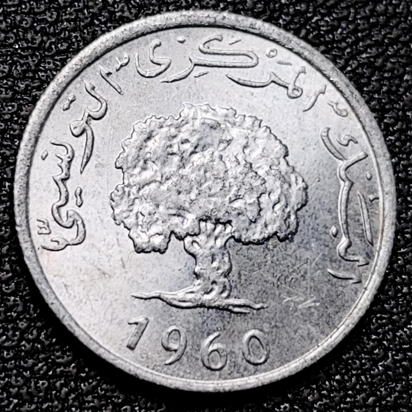 泉币菌-第177场- 精品福利场 。