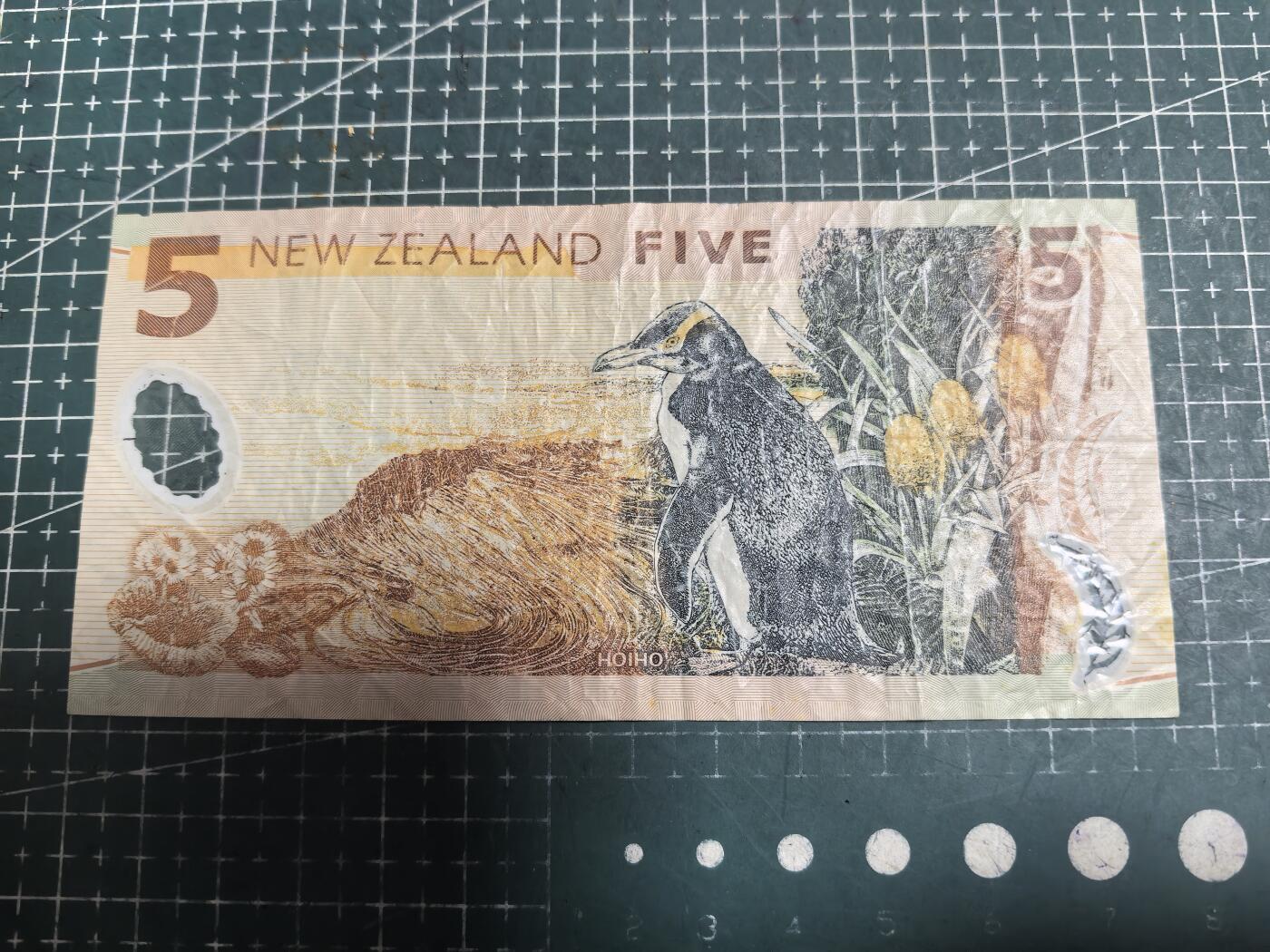 轻松集币无压力 新西兰5