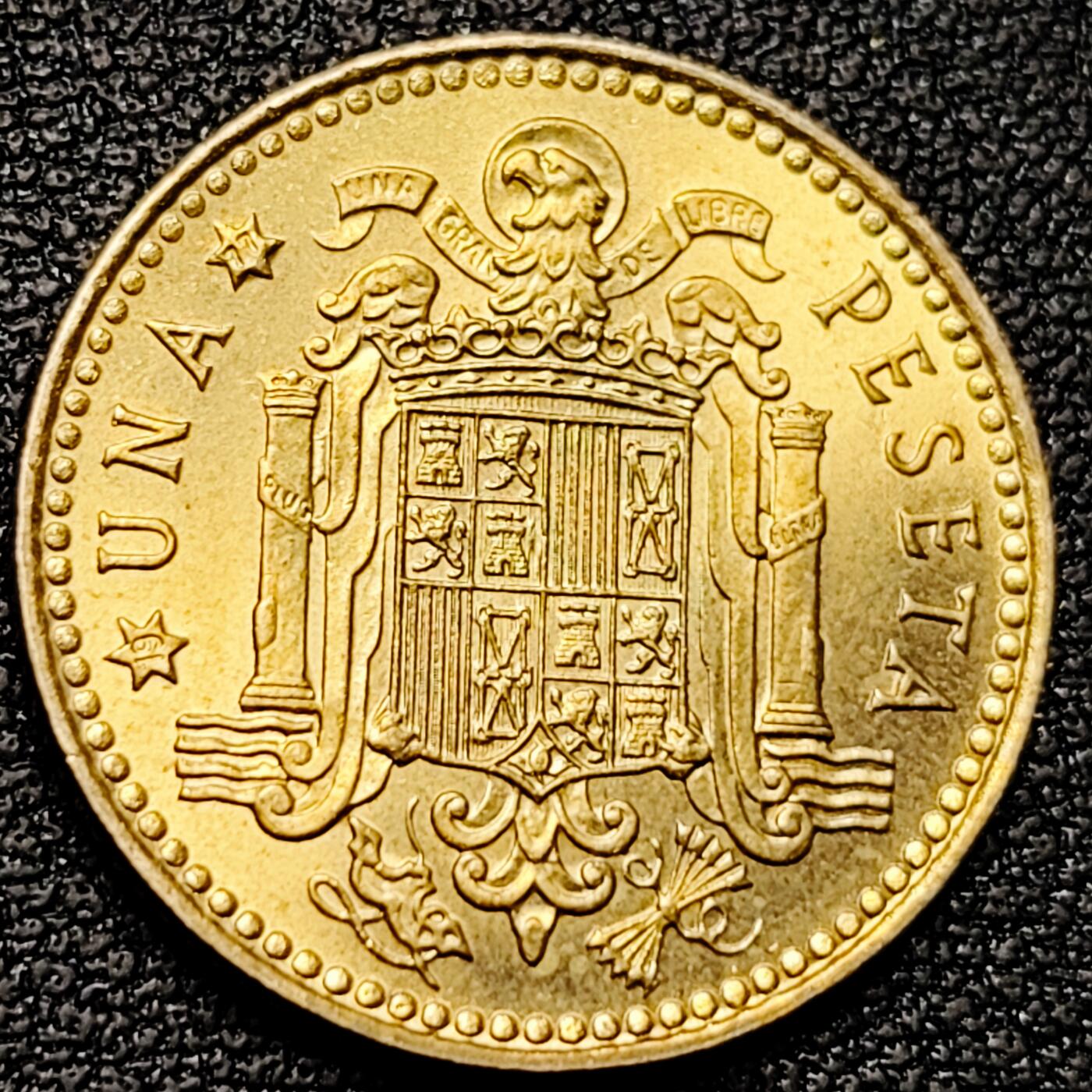 泉币菌-第177场- 精品福利场 。