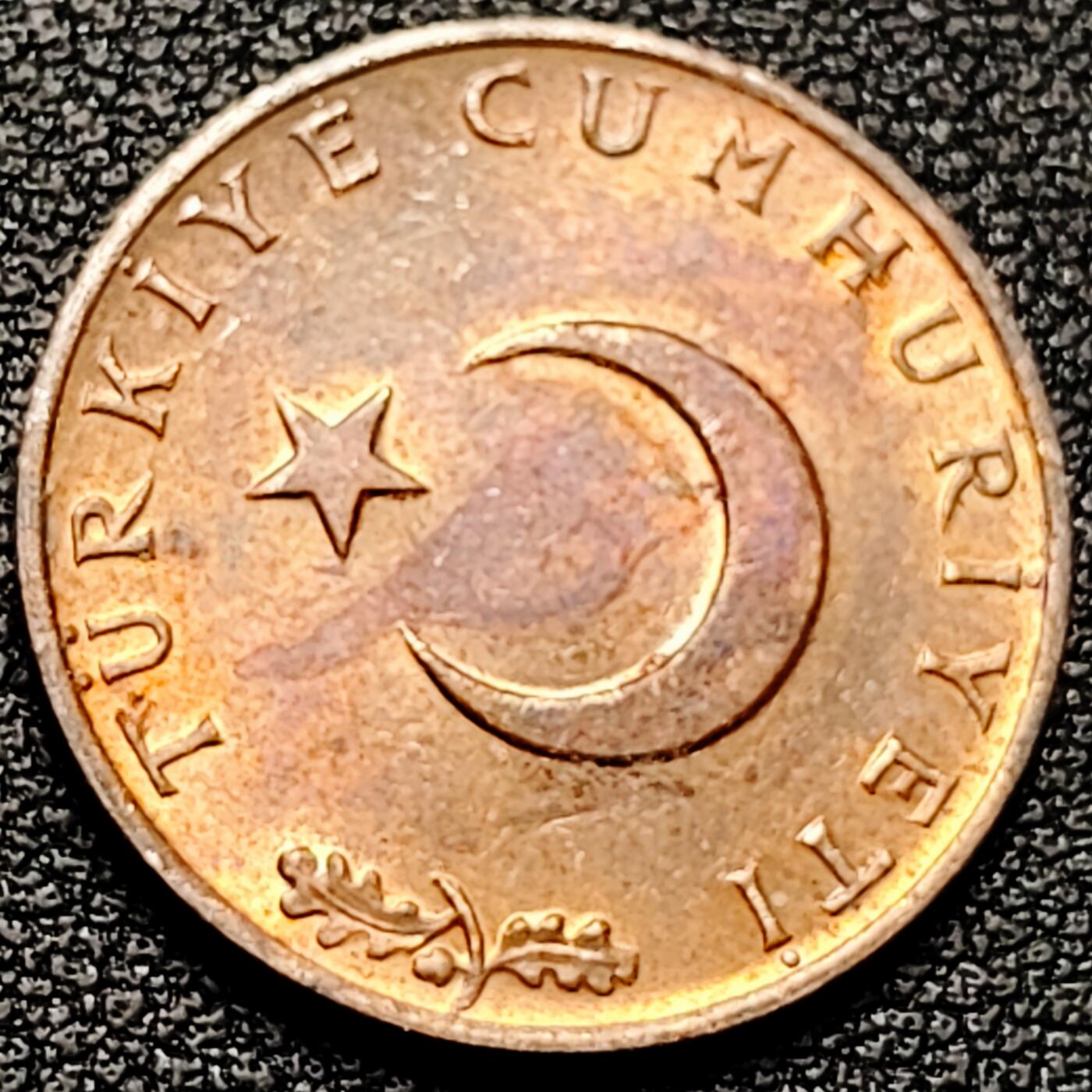 泉币菌-第177场- 精品福利场 。