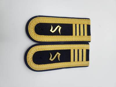 南水社首场拍卖 - 民主德国还军学员本科三年级肩章一副