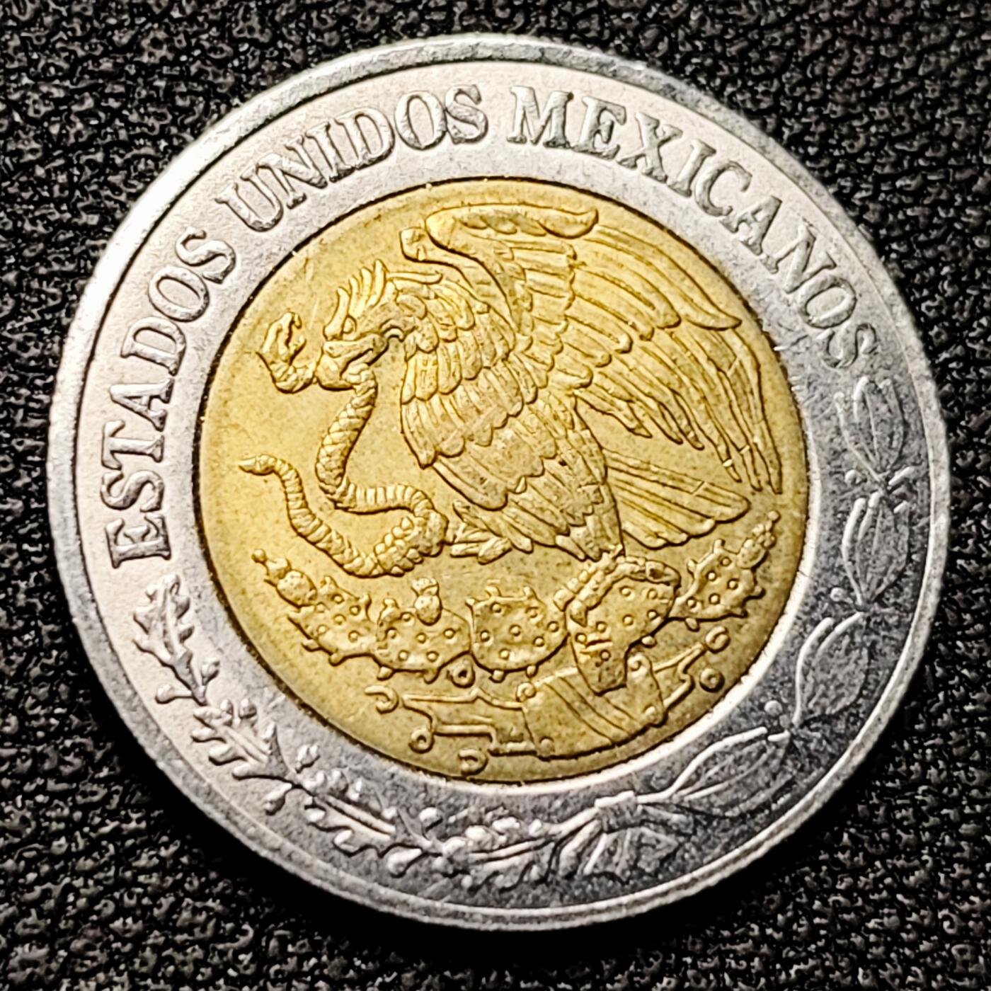 泉币菌-第177场- 精品福利场 。