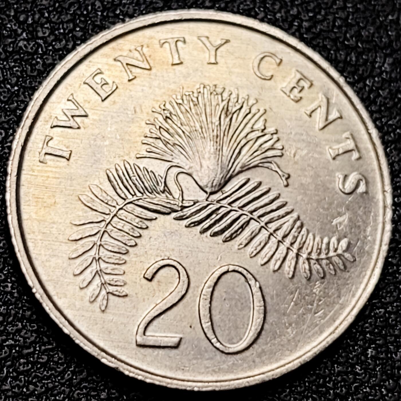 泉币菌-第177场- 精品福利场 。