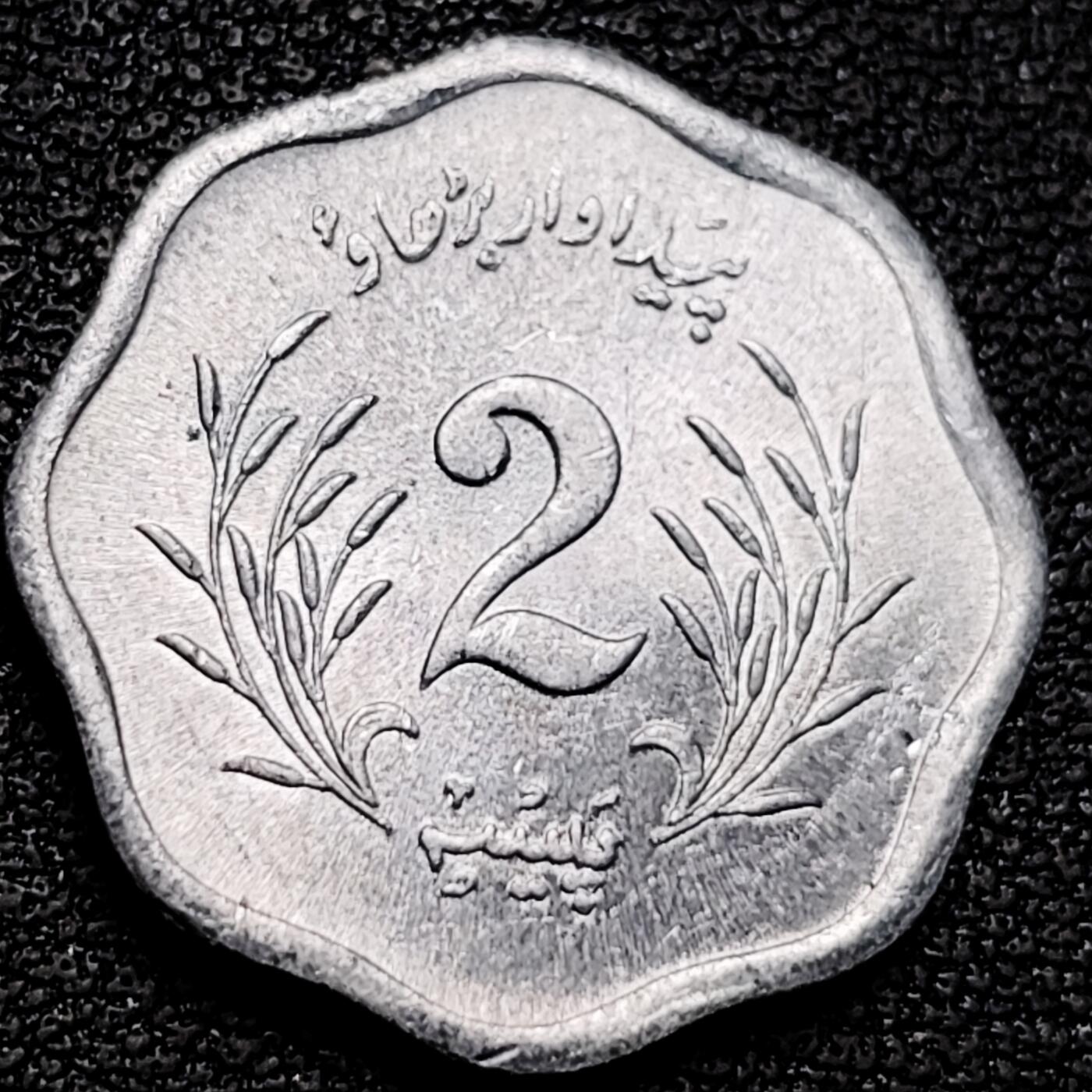 泉币菌-第177场- 精品福利场 。