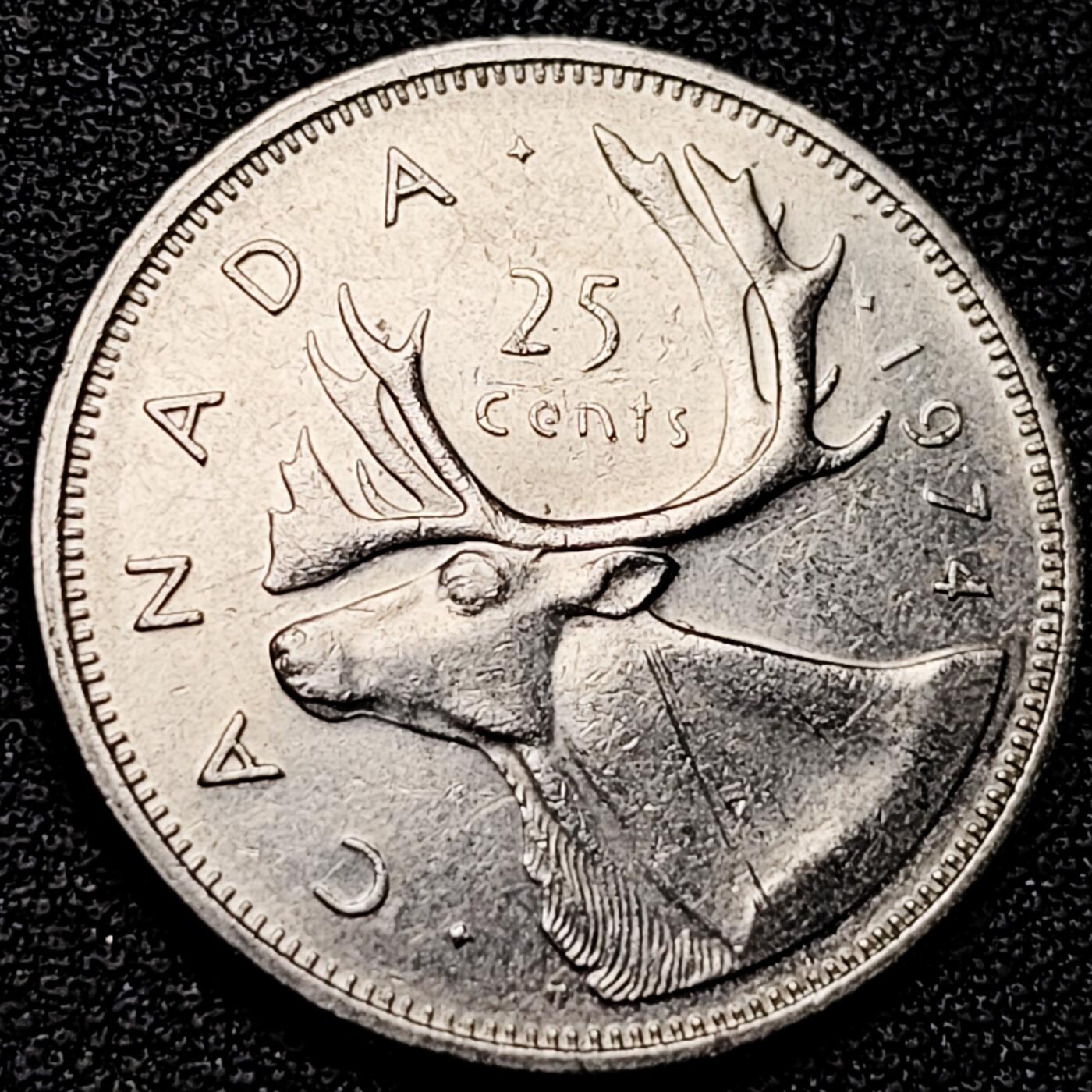 泉币菌-第177场- 精品福利场 。