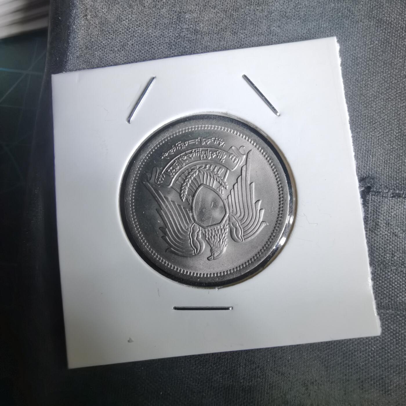 沼泽如烟--第976场 埃及