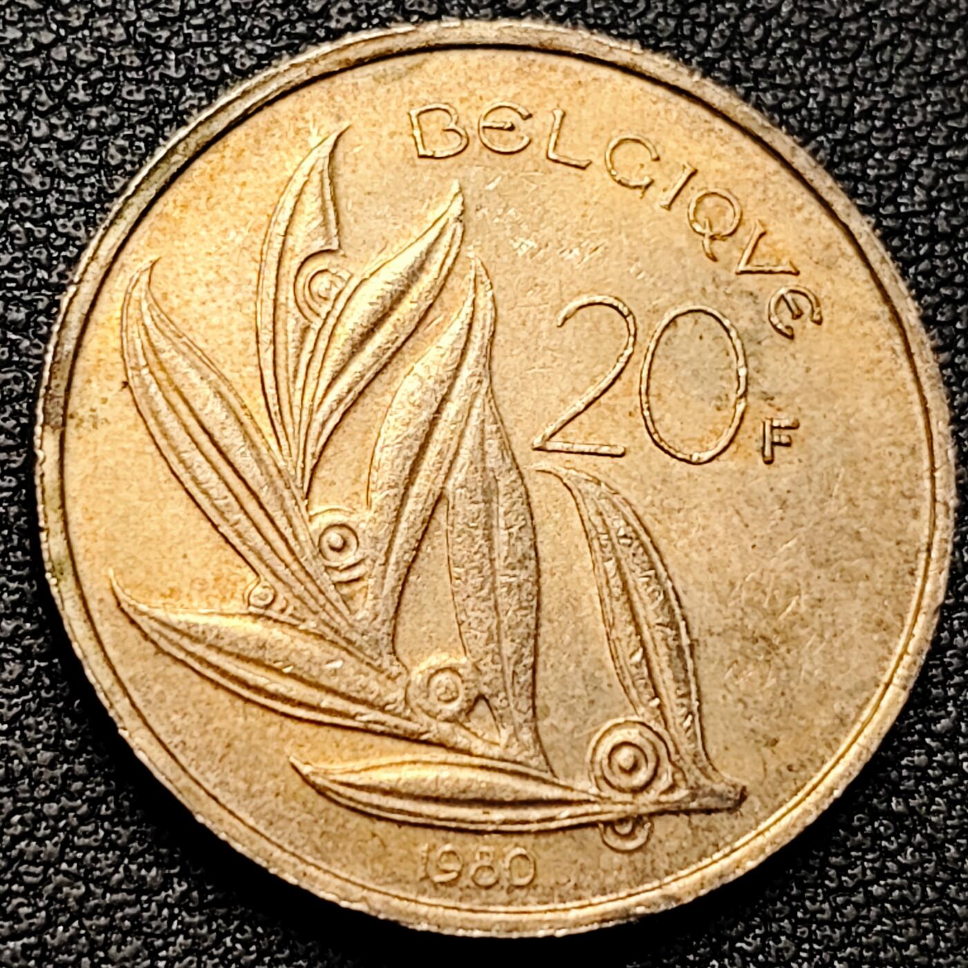 泉币菌-第177场- 精品福利场 。