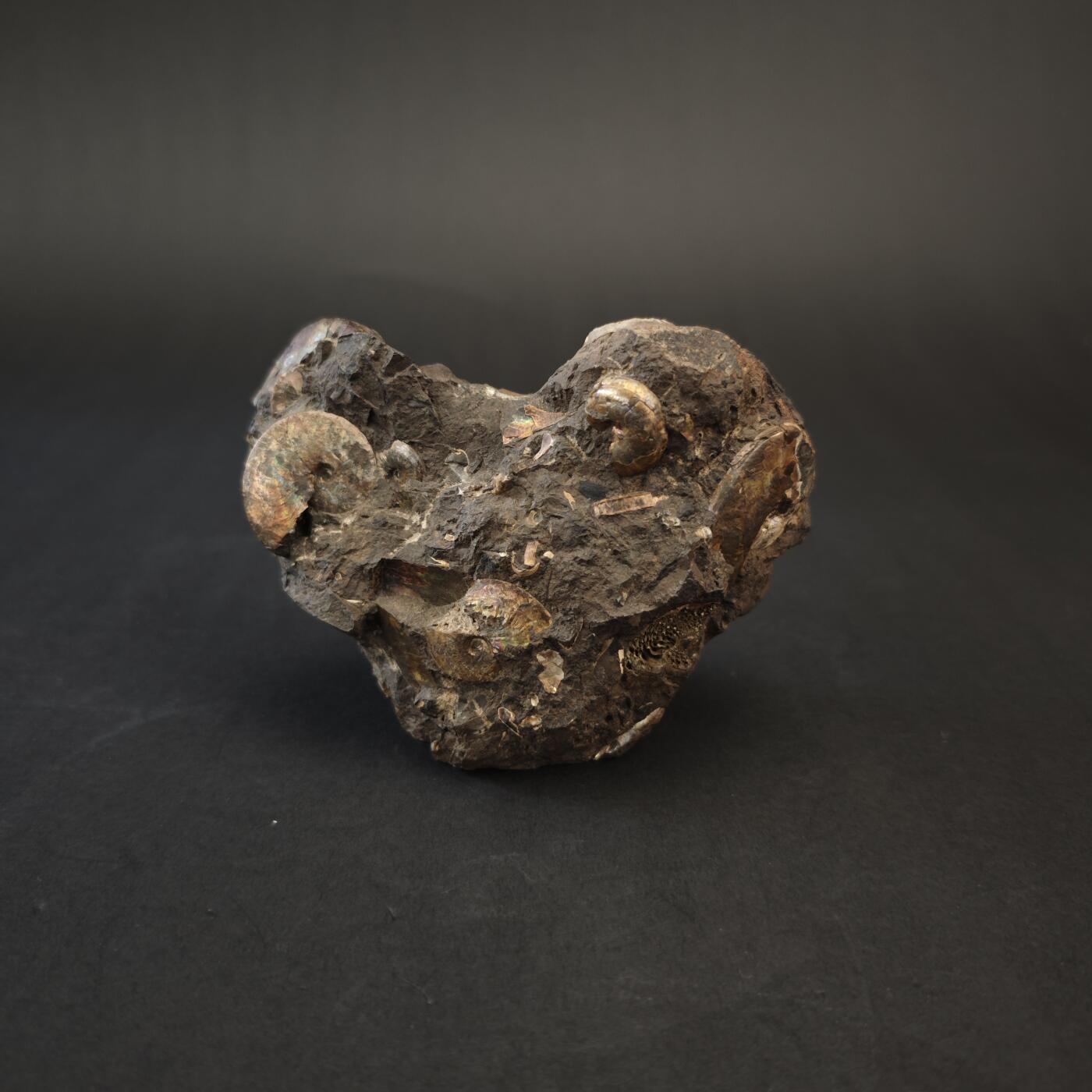 上海都达杂项专场九（全场包邮） 出口创汇期 七彩螺田化石 摆件1-375