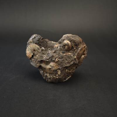 上海都达杂项专场九（全场包邮） - 出口创汇期 七彩螺田化石 摆件1-375