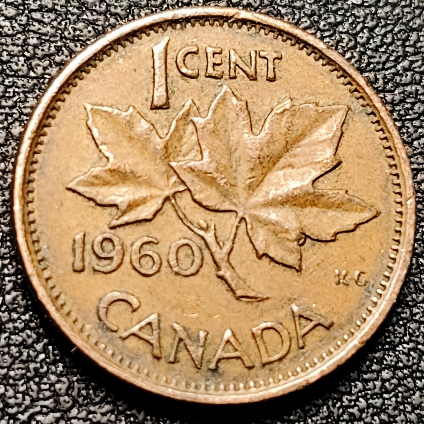 泉币菌-第177场- 精品福利场 。