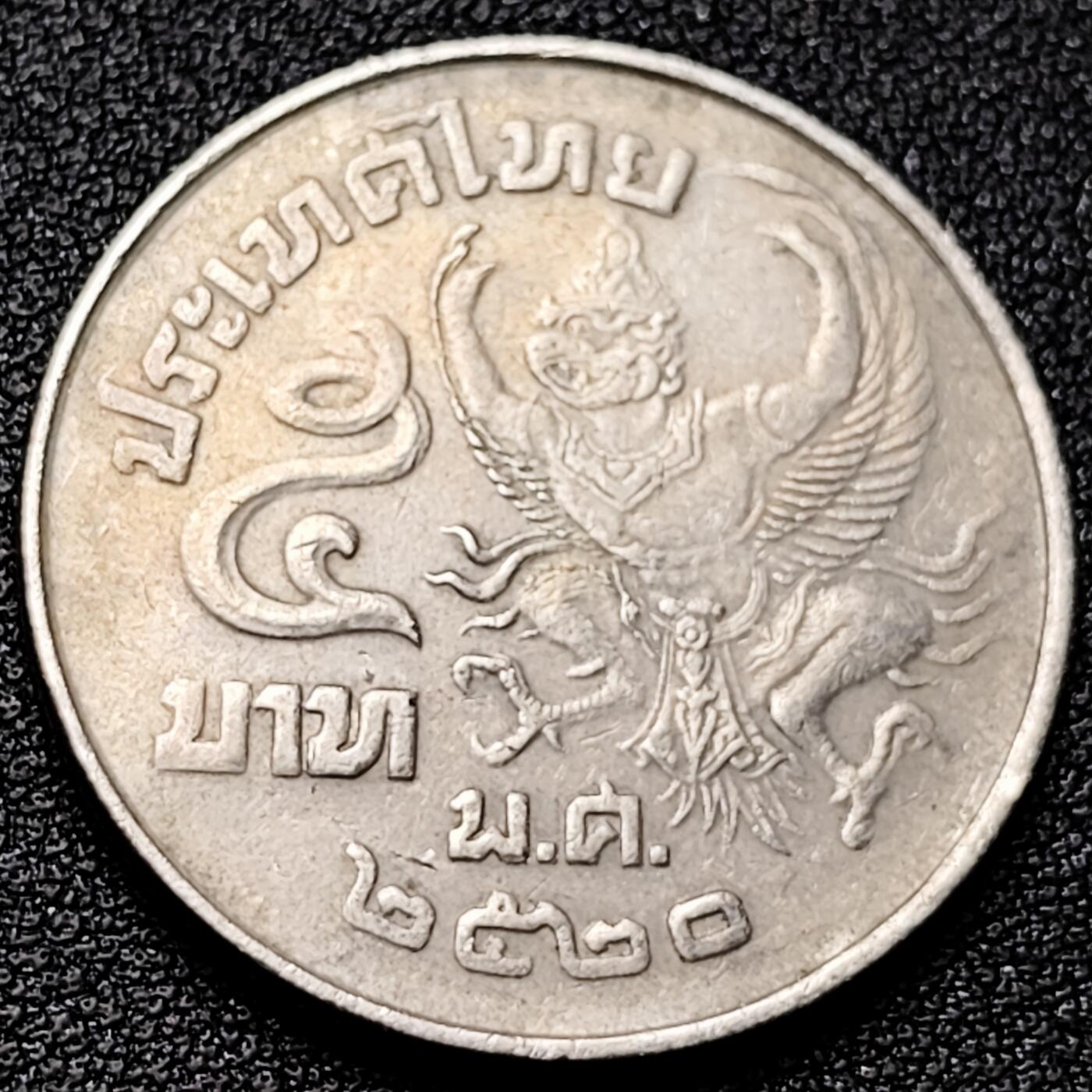 泉币菌-第177场- 精品福利场 。