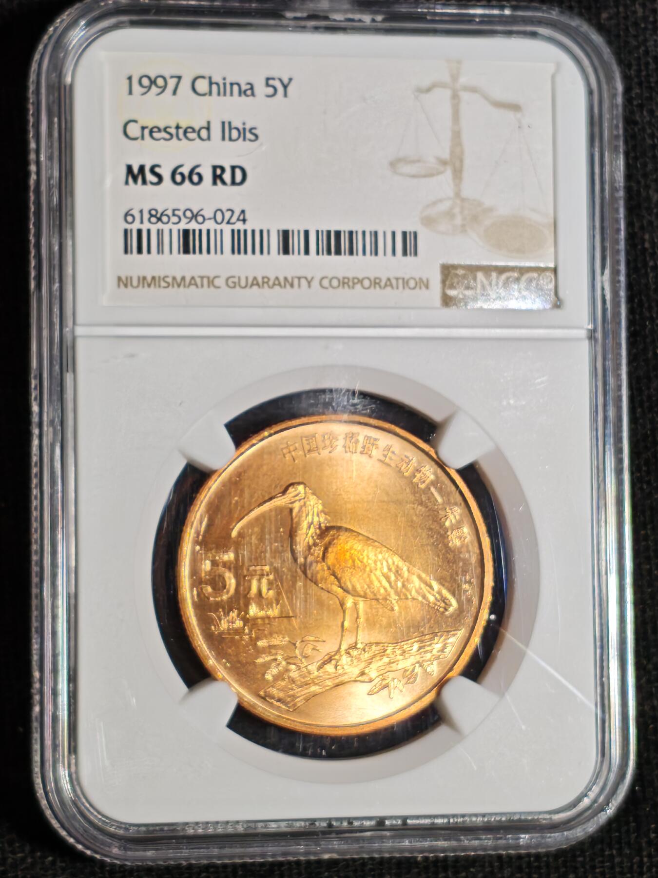 刘世昌艺术品销售中心～虎踞龙蟠*金杨在线联拍群第516期