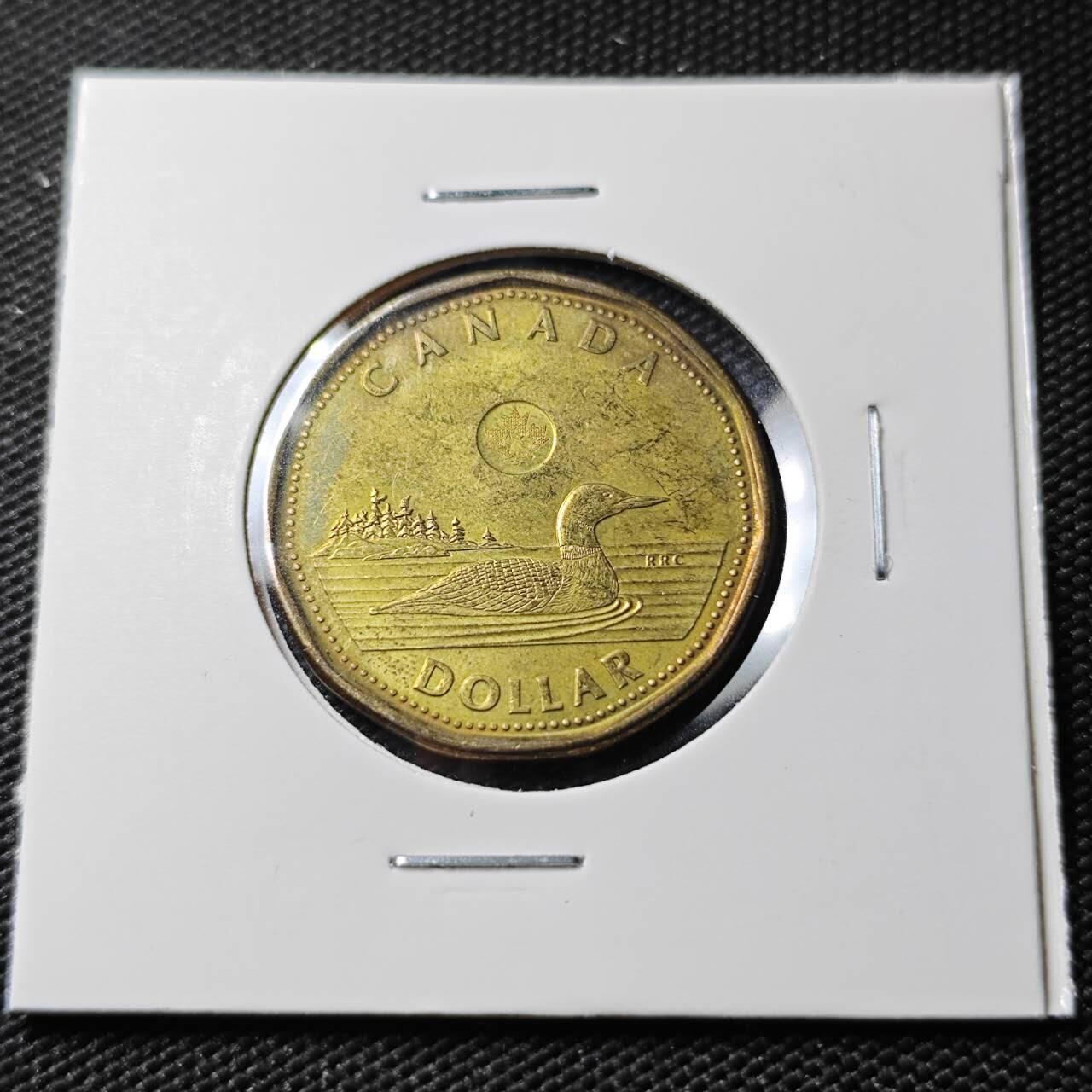 KK钱币收藏小铺  第390期  2月预留时间 周末发货  加拿大1元