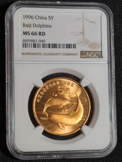 刘世昌艺术品销售中心～虎踞龙蟠*金杨在线联拍群第516期 - 1996年流通纪念币“白鱀豚”（NGC   MS66RD   串号：8499881-049）1枚。
