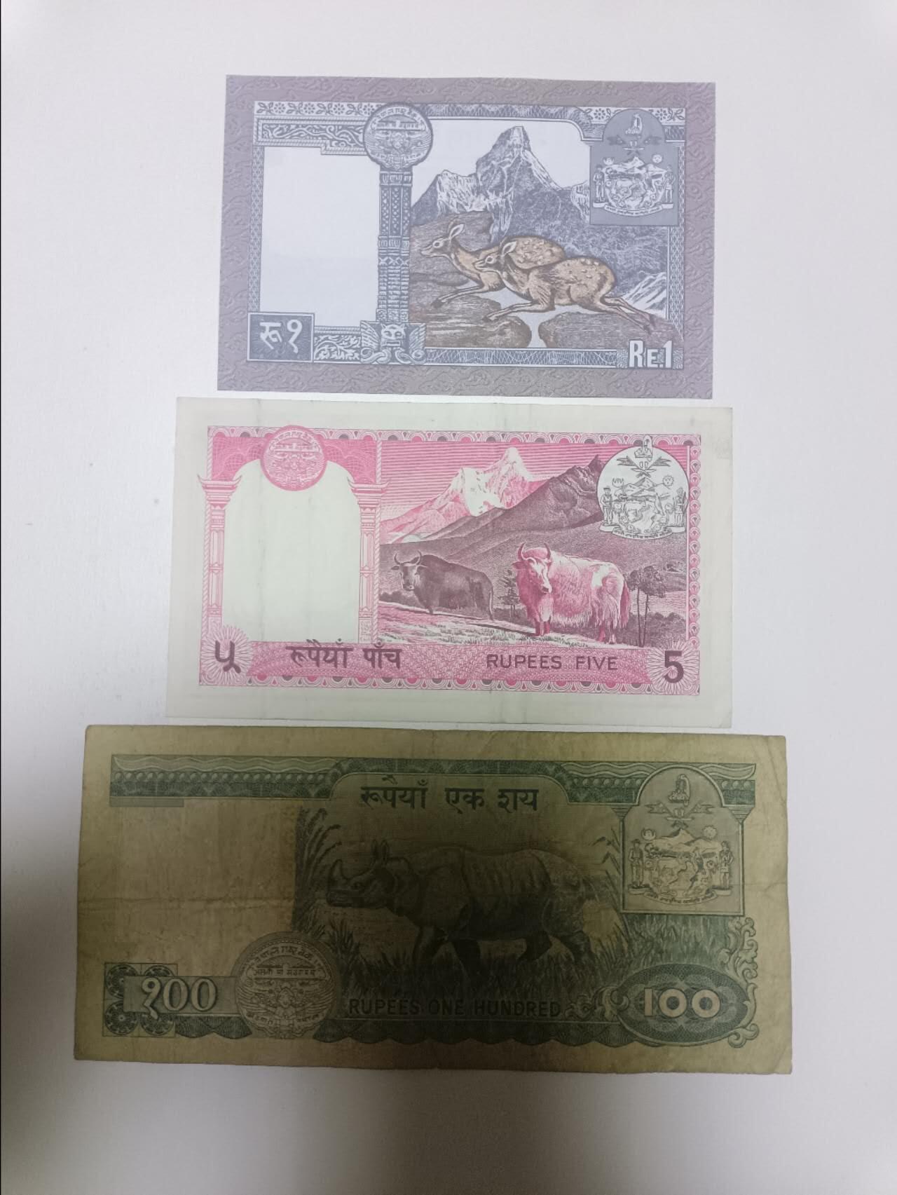 【20260129】非全新纸币和硬币第330场 尼泊尔3张纸币