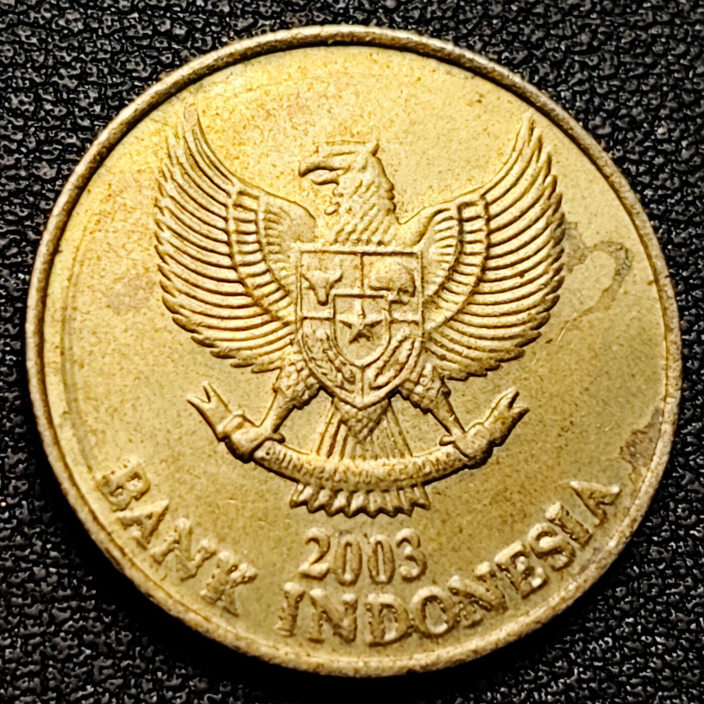 泉币菌-第177场- 精品福利场 。