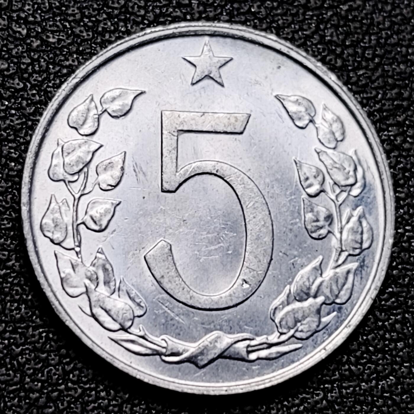 泉币菌-第177场- 精品福利场 。