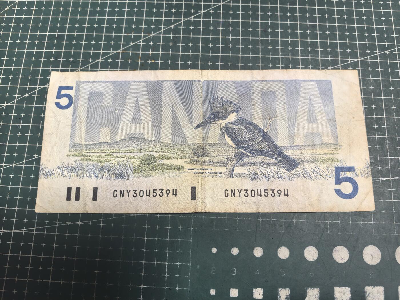 轻松集币无压力 加拿大5