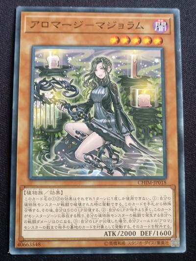 【游宝拍卖】乙巳蛇年第113期 周四集拍 - 游戏王 