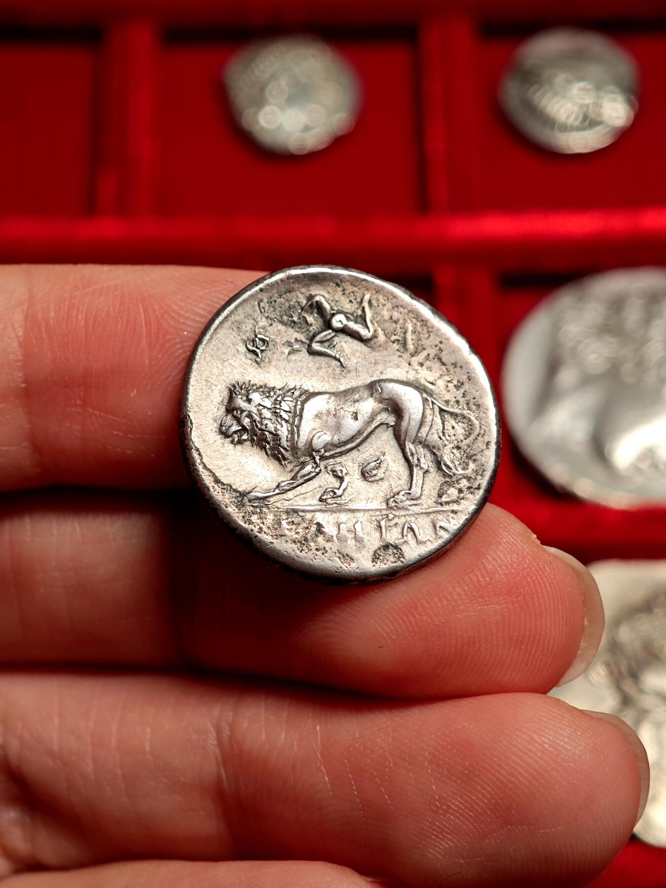 NGC评级古希腊雅典娜和狮子银币