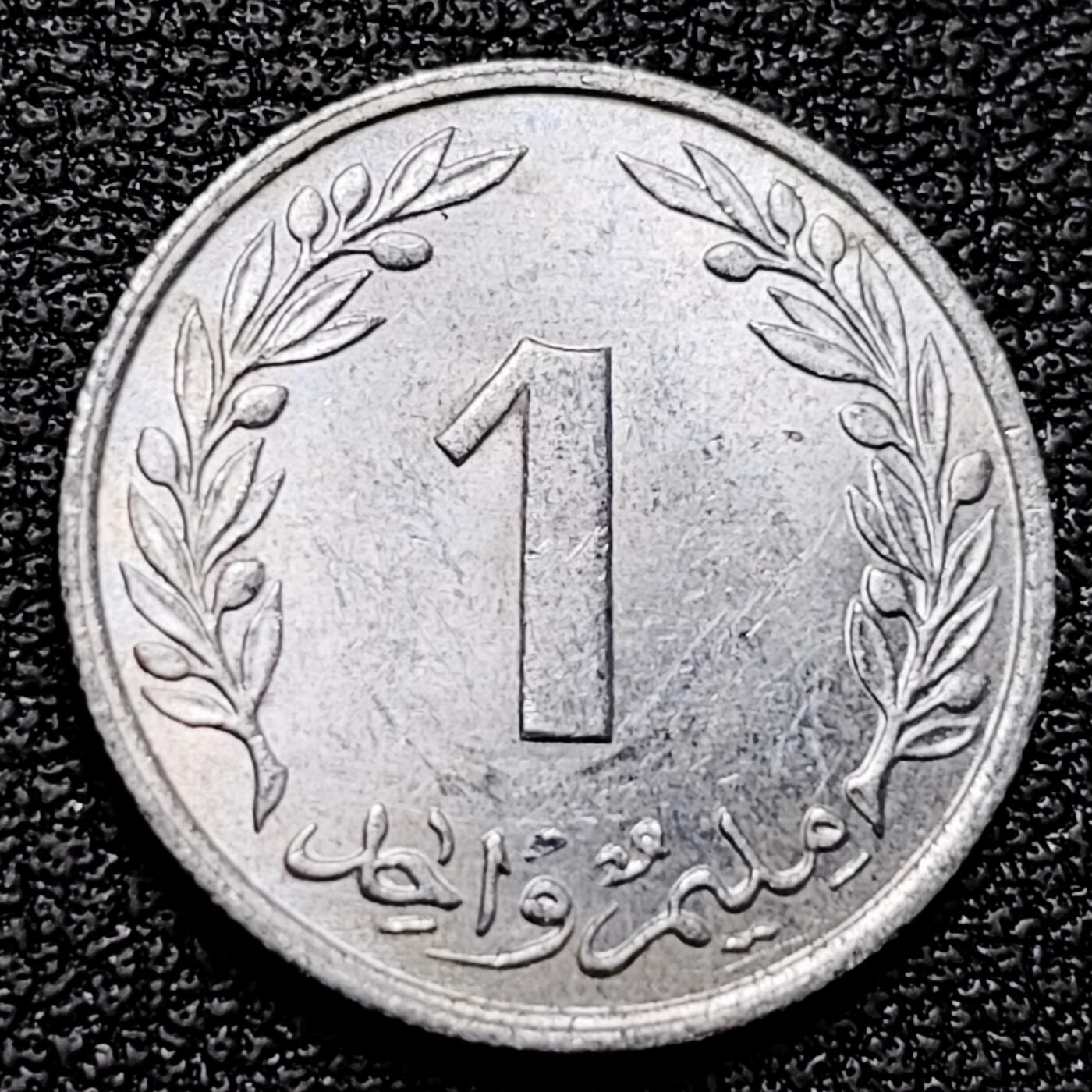 泉币菌-第177场- 精品福利场 。