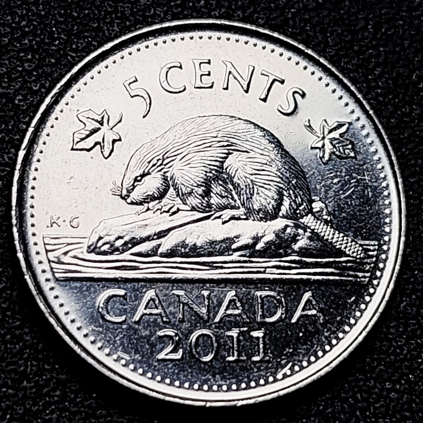 泉币菌-第177场- 精品福利场 。