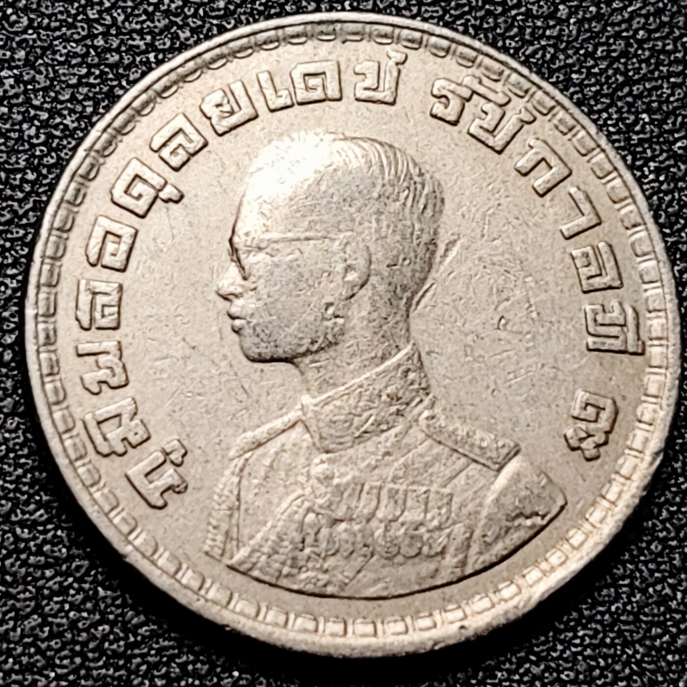 泉币菌-第176场- 精品福利场 。