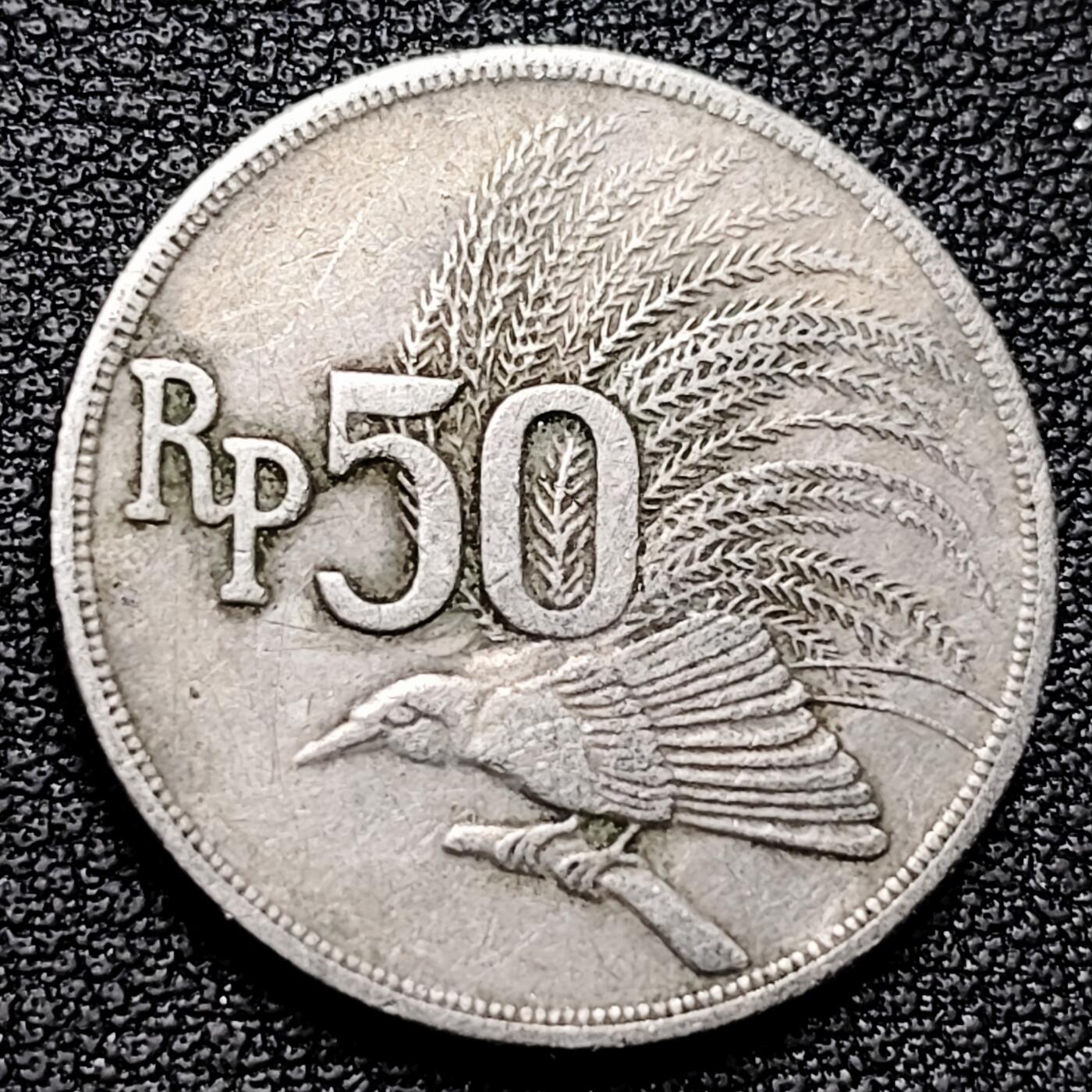 泉币菌-第177场- 精品福利场 。