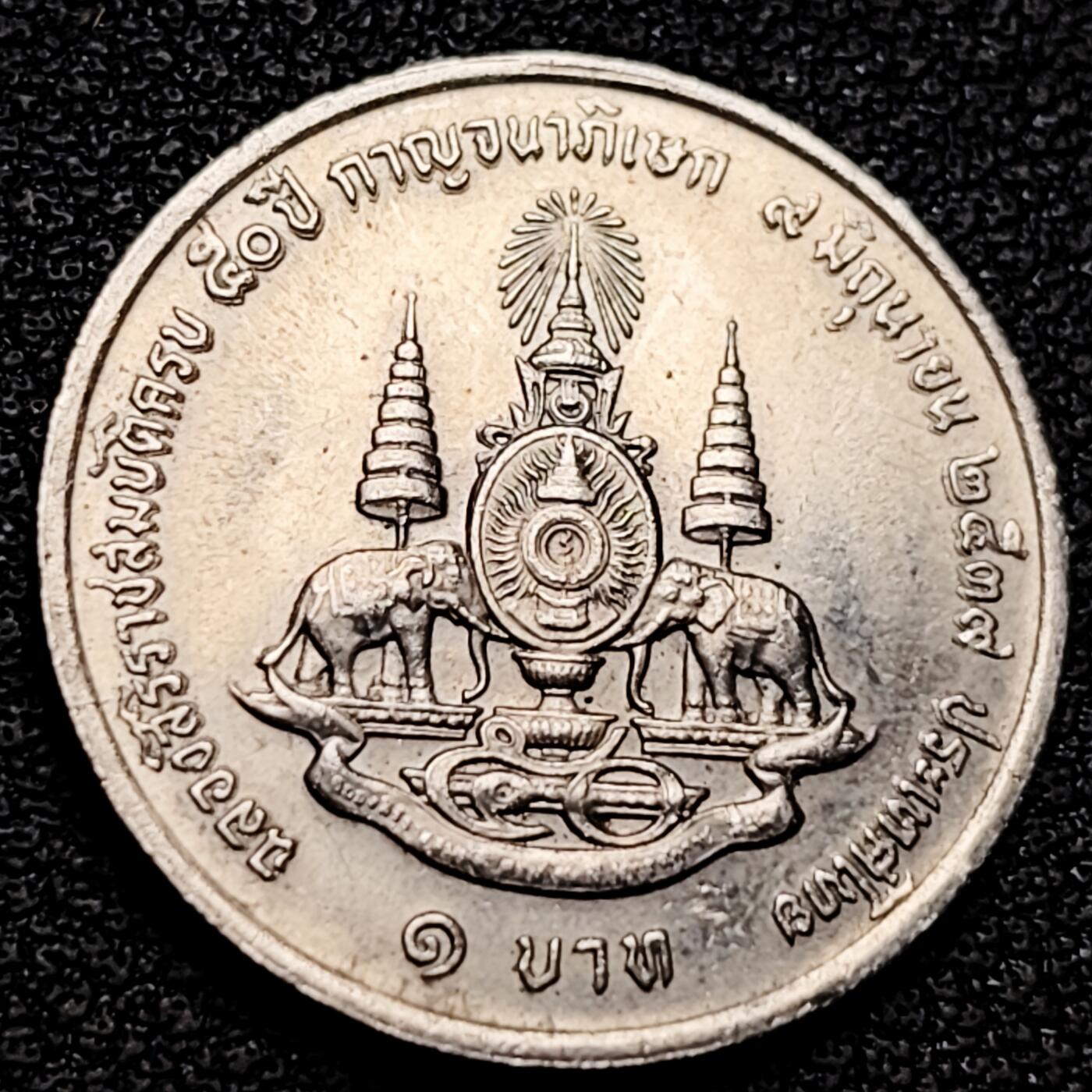 泉币菌-第177场- 精品福利场 。