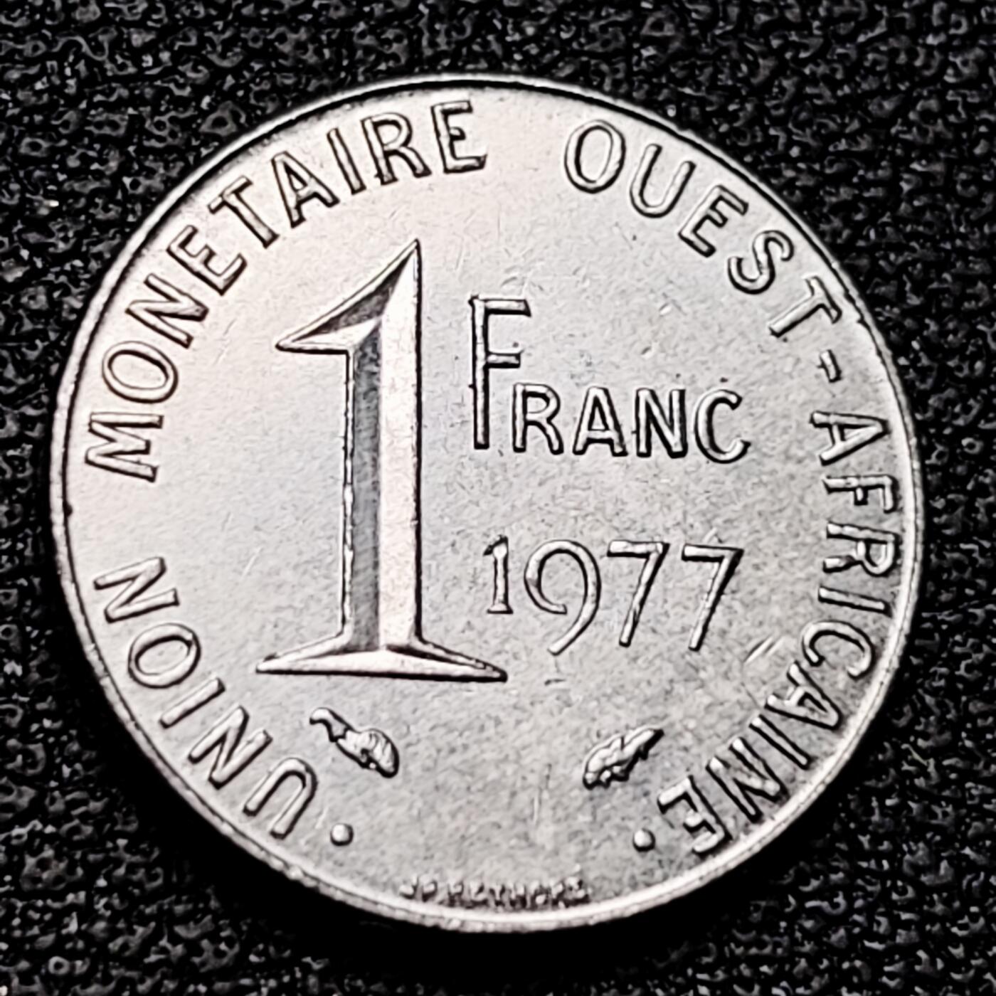 泉币菌-第177场- 精品福利场 。