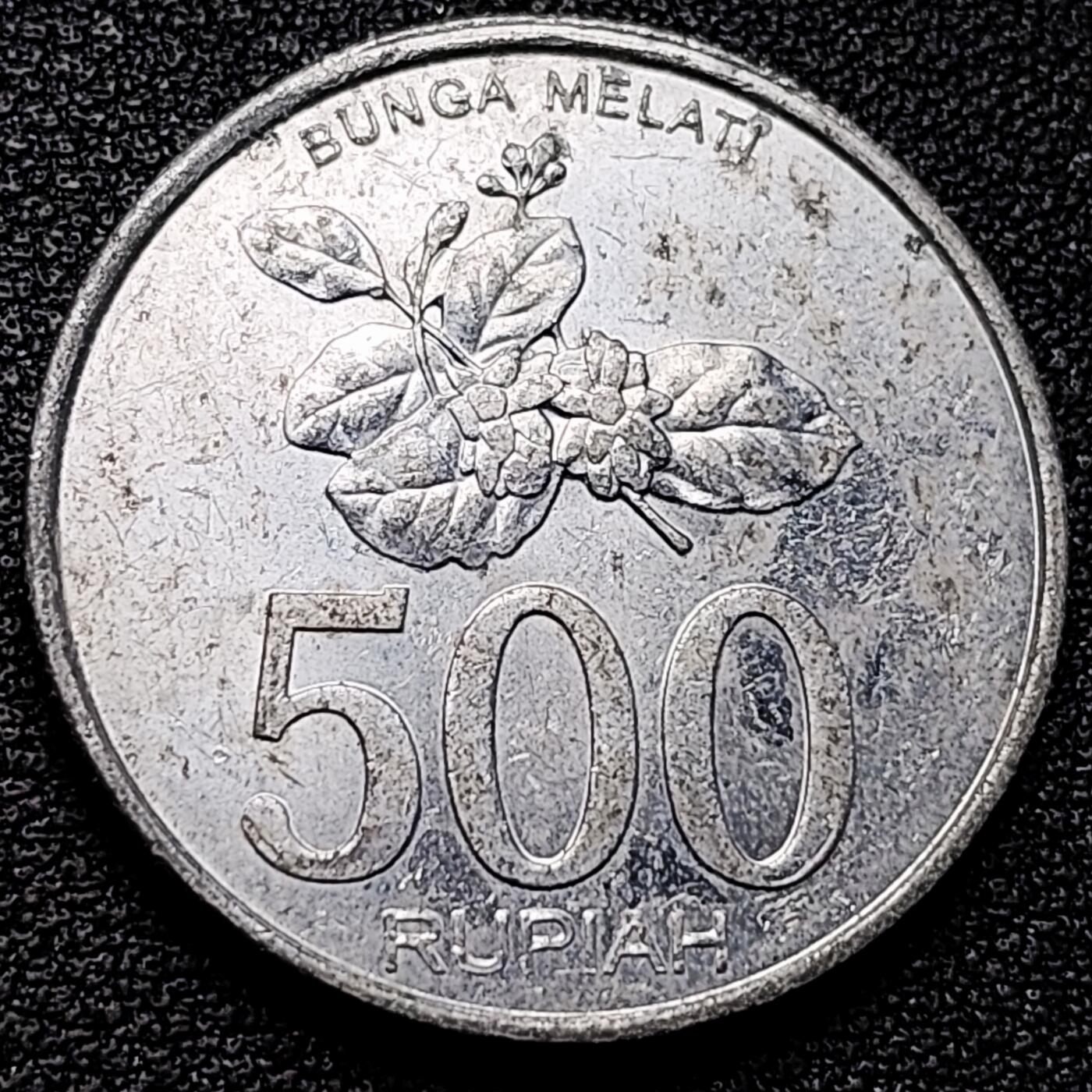 泉币菌-第177场- 精品福利场 。