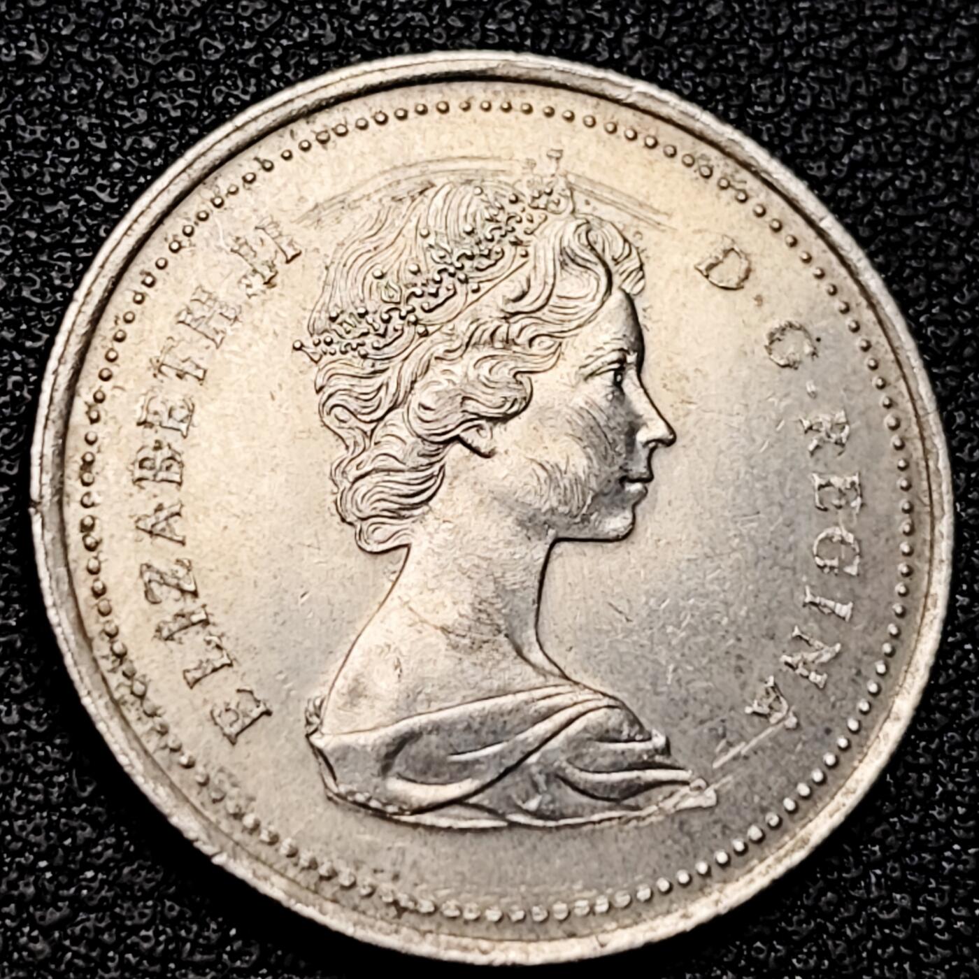 泉币菌-第177场- 精品福利场 。