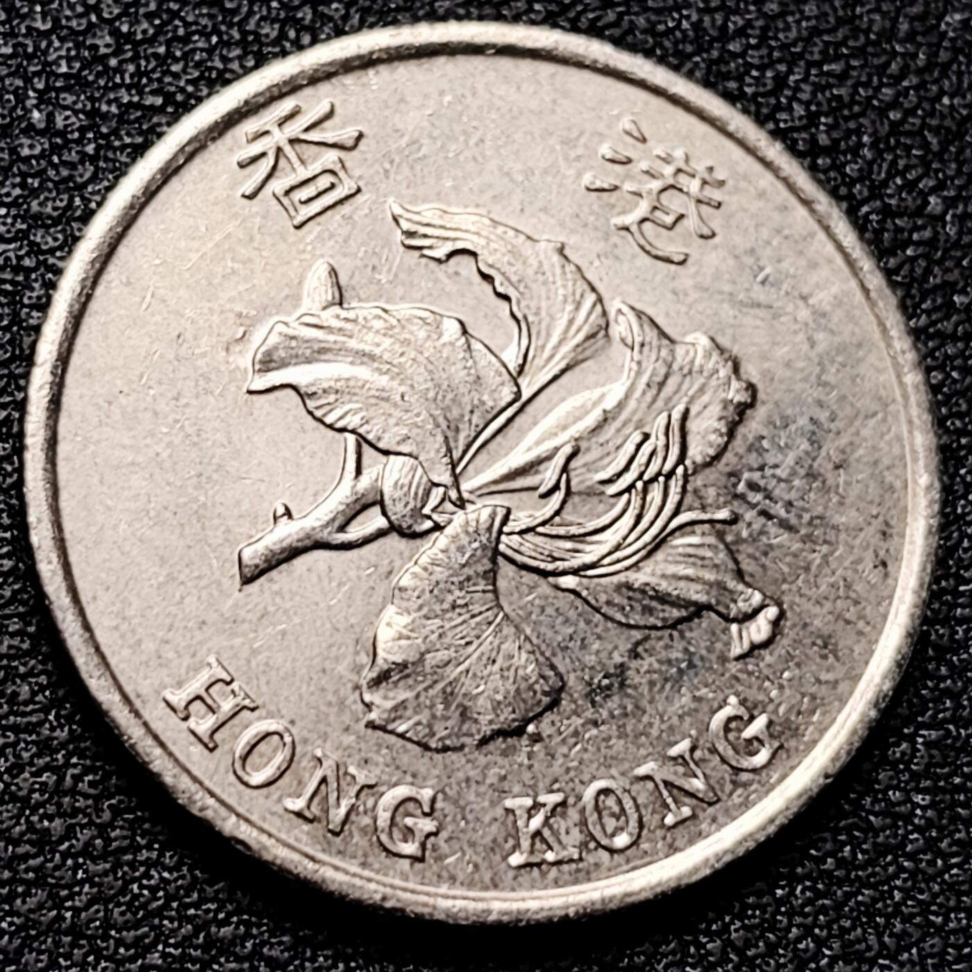 泉币菌-第177场- 精品福利场 。