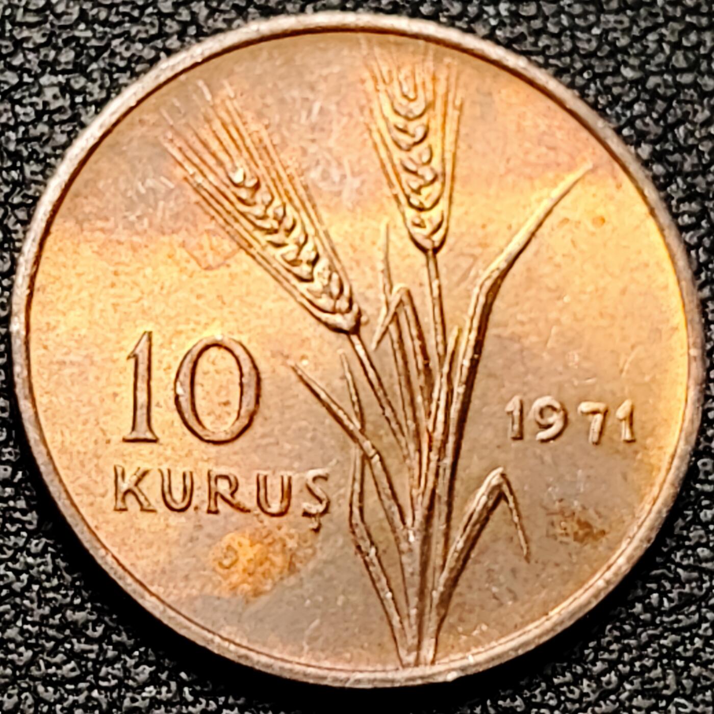 泉币菌-第177场- 精品福利场 。