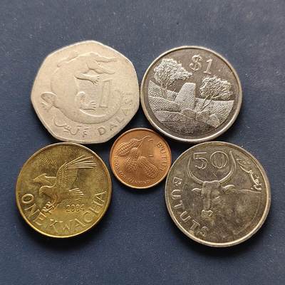 【全场包邮】纯粹捡漏拍498场-持续更新中 - 世界各国各年份散币E组-5枚一组-冈比亚+马拉维+津巴布韦