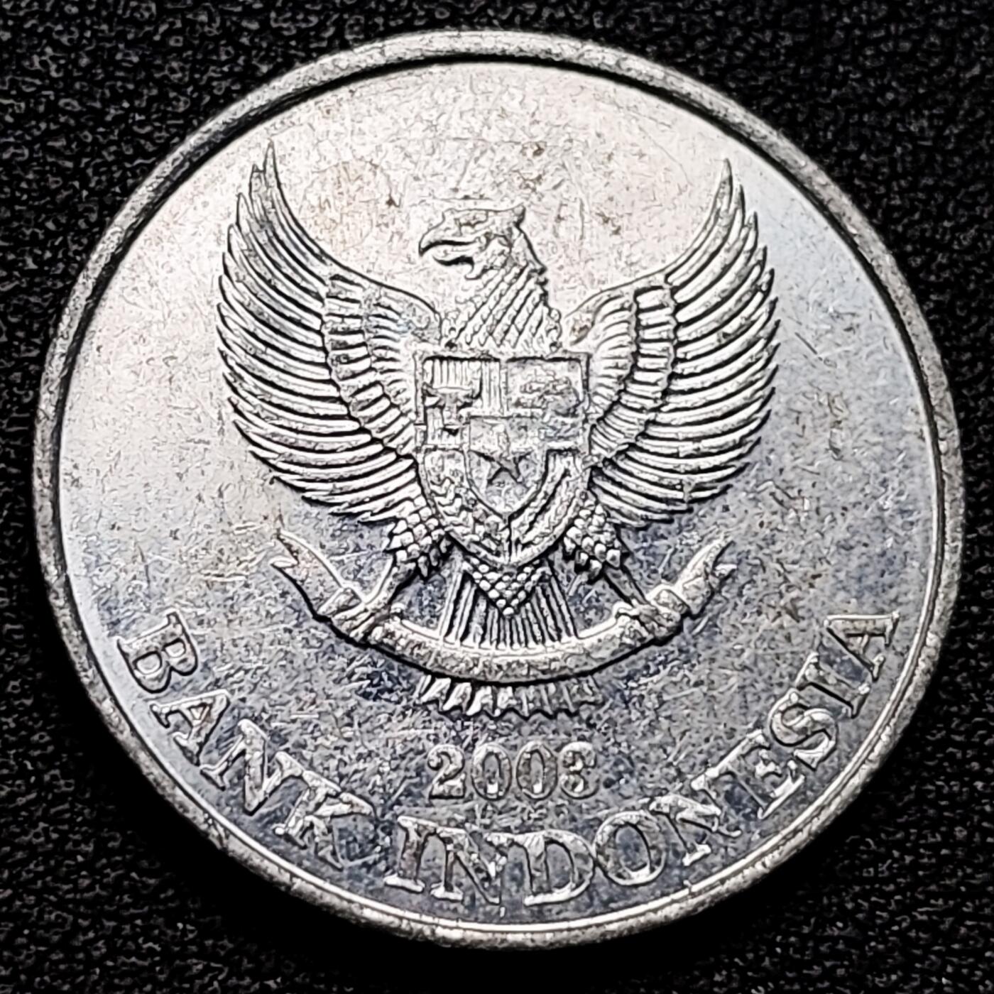 泉币菌-第177场- 精品福利场 。