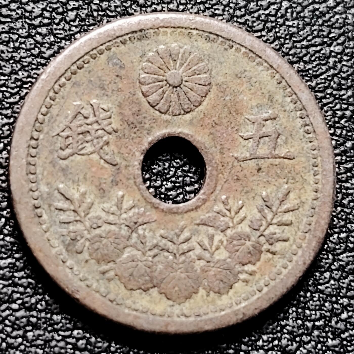 泉币菌-第177场- 精品福利场 。