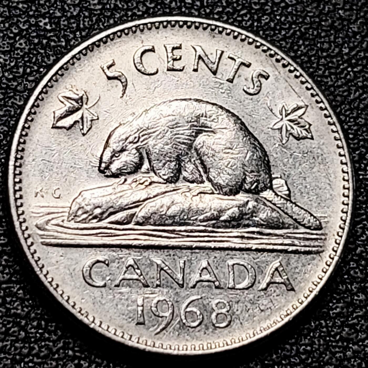 泉币菌-第176场- 精品福利场 。