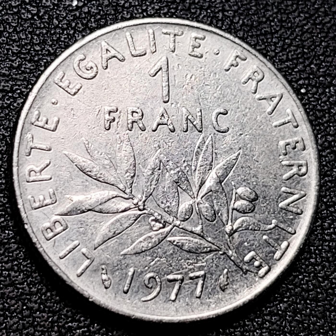 泉币菌-第177场- 精品福利场 。